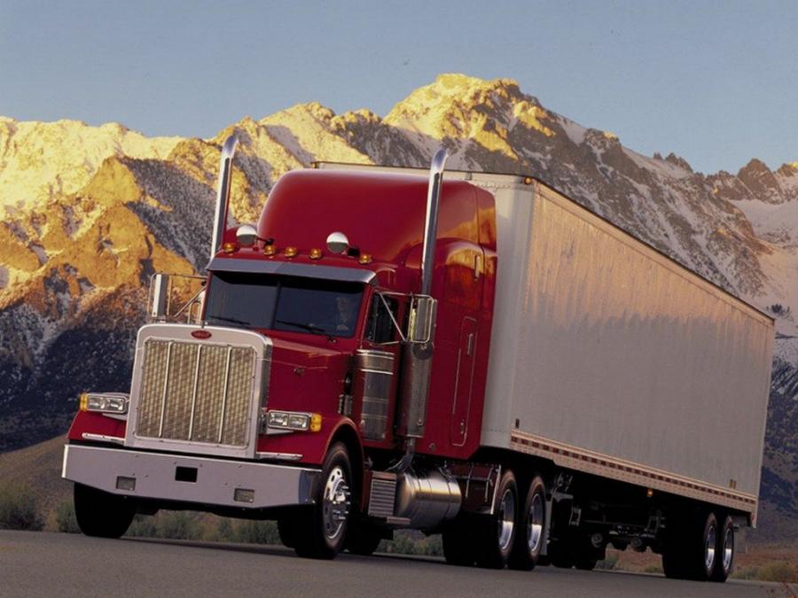  Peterbilt 379 1987 года  (фото 10 из 11)